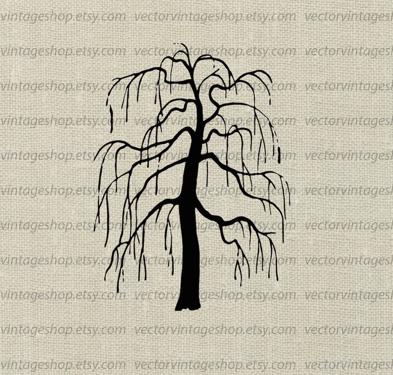 794x758 Weeping Willow Tree Vector Clipart Bare Tree Silhouette Clip Etsy
