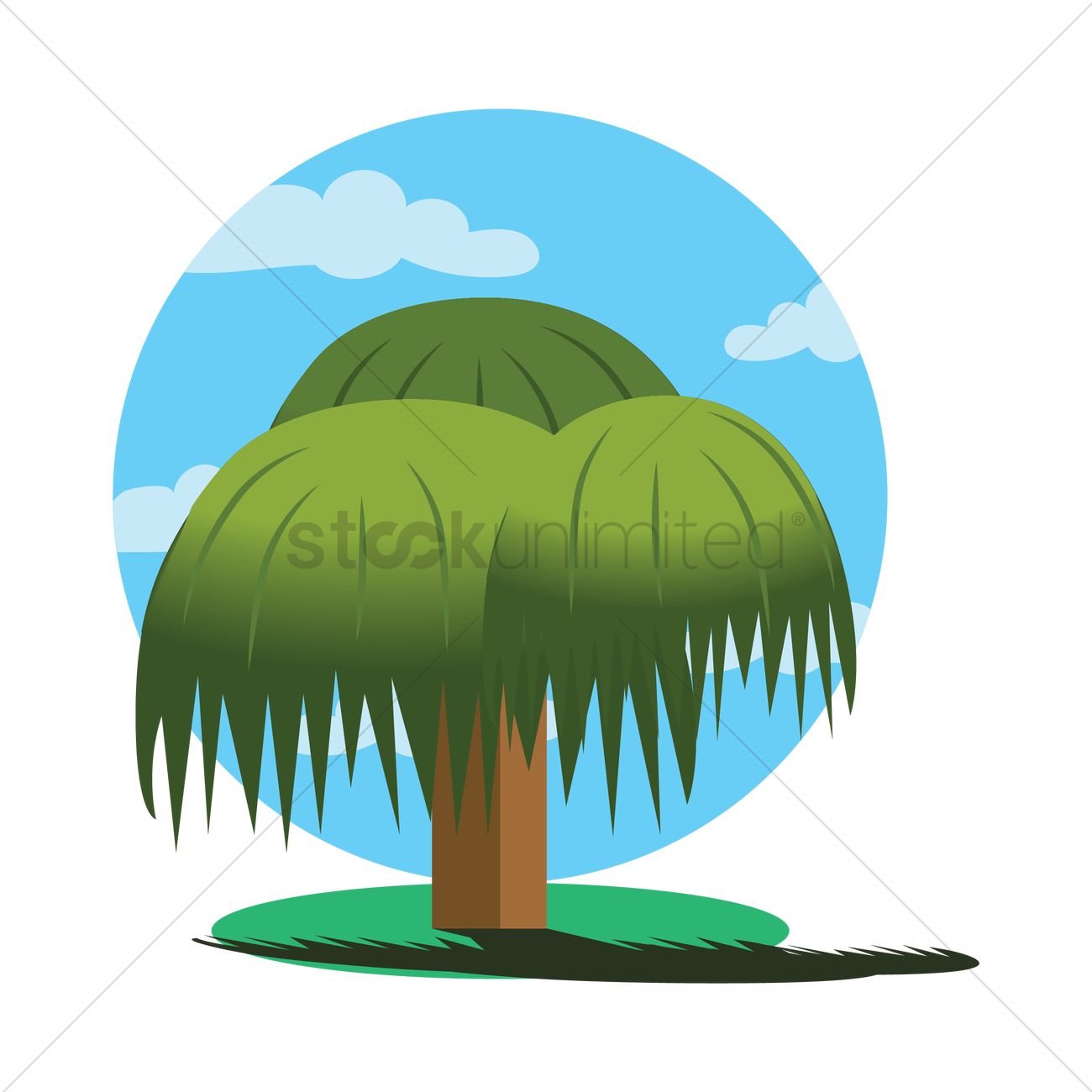 Weeping Willow Tree Vector Image 1300x1300 Weeping Willow Tree Vector Image