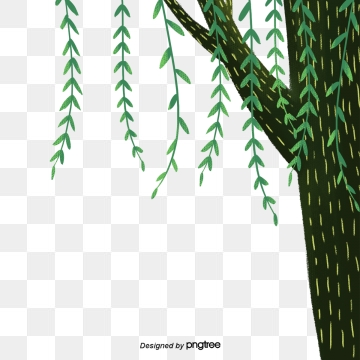 Willow Trees Png Images Vector And Free Download 360x360 Willow Trees Png Images Vector And Free Download