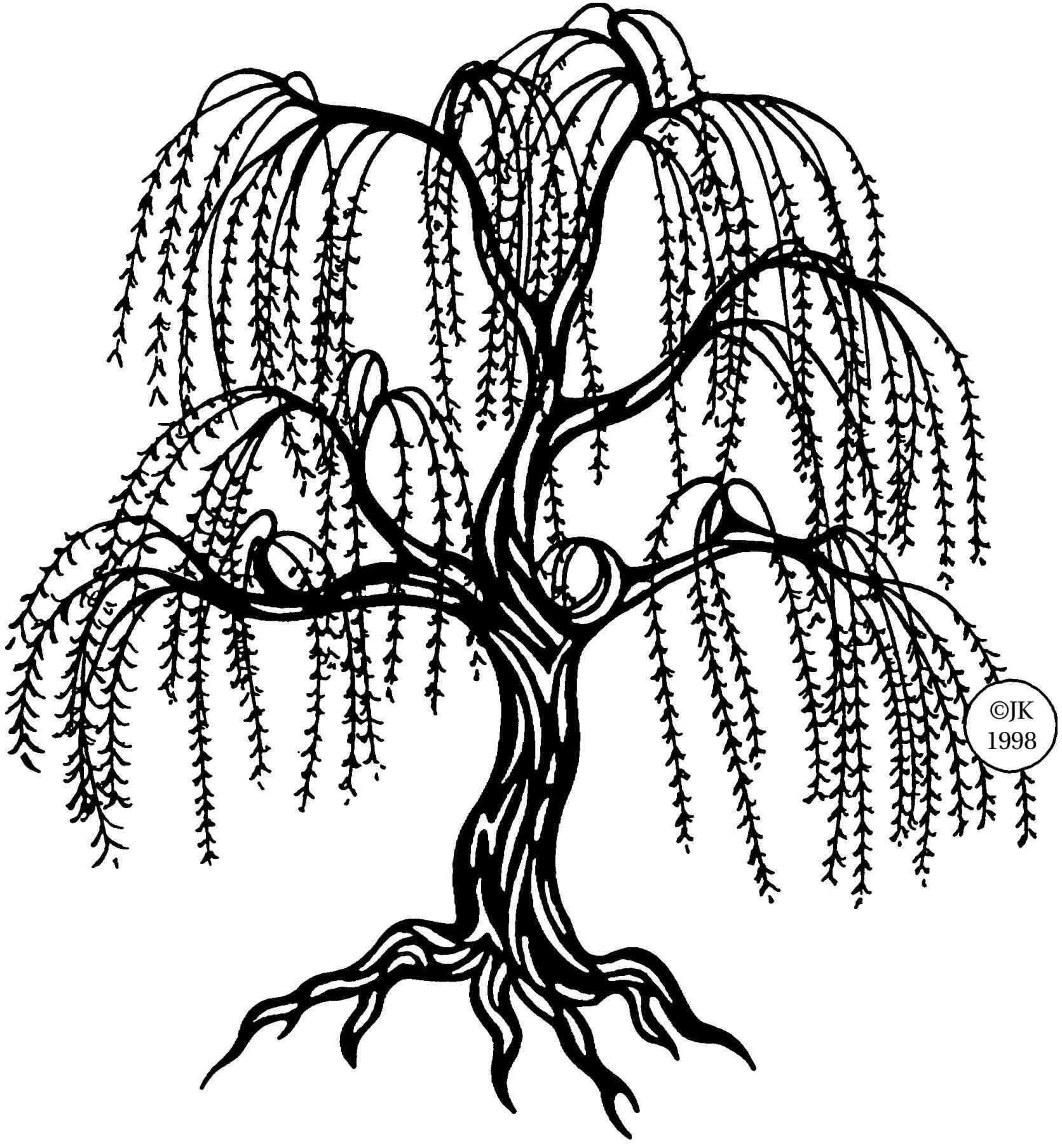 Willow Tree Drawing Tumblr Ngorong Club Signs Graphics 1671x1807 Willow Tree Drawing Tumblr Ngorong Club Signs Graphics