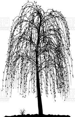 259x400 High Detailed Willow Tree Silhouette Vector Image Vector