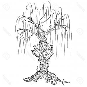Photostock Vector Tree Icon Vector Illustration Big Tree Willow 300x300 Photostock Vector Tree Icon Vector Illustration Big Tree Willow