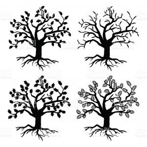 Stock Photo Tree Trees Pine Oak Silhouette Weeping Willow Vector 300x300 Stock Photo Tree Trees Pine Oak Silhouette Weeping Willow Vector