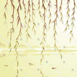 Weeping Willow Above River Vector Illustration Createmepink 300x300 Weeping Willow Above River Vector Illustration Createmepink