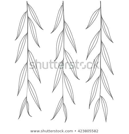 Weeping Willow Branches Weeping Willow Branch Tree Twig Outline 450x470 Weeping Willow Branches Weeping Willow Branch Tree Twig Outline