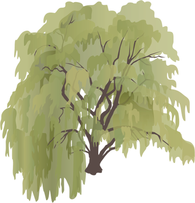 Willow Image Ideas For Projects In Vector Trees, Tree 383x400 Willow Image Ideas For Projects In Vector Trees, Tree