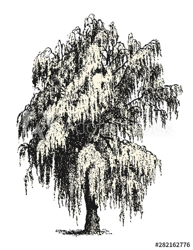 Vintage Vector Drawings Design Elements Mourning Weeping 387x500 Vintage Vector Drawings Design Elements Mourning Weeping