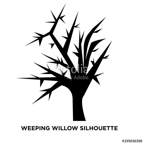 Weeping Willow Silhouette On White Background Stock Image 500x500 Weeping Willow Silhouette On White Background Stock Image