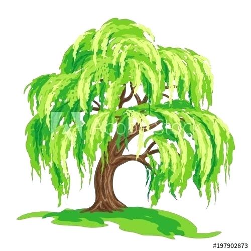 Willow Tree Sketch 500x500 Willow Tree Sketch