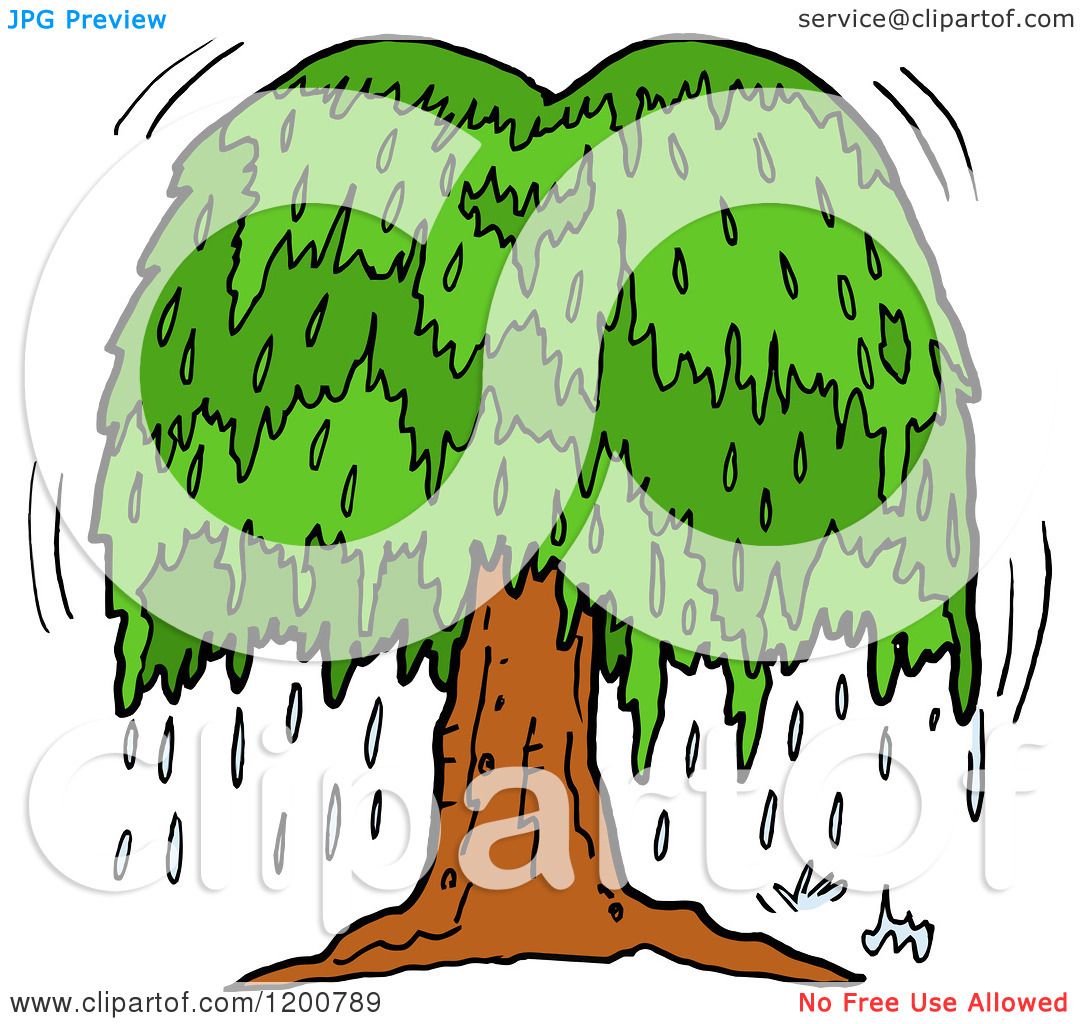 Cartoon Of A Weeping Willow Tree With Tears 1080x1024 Cartoon Of A Weeping Willow Tree With Tears