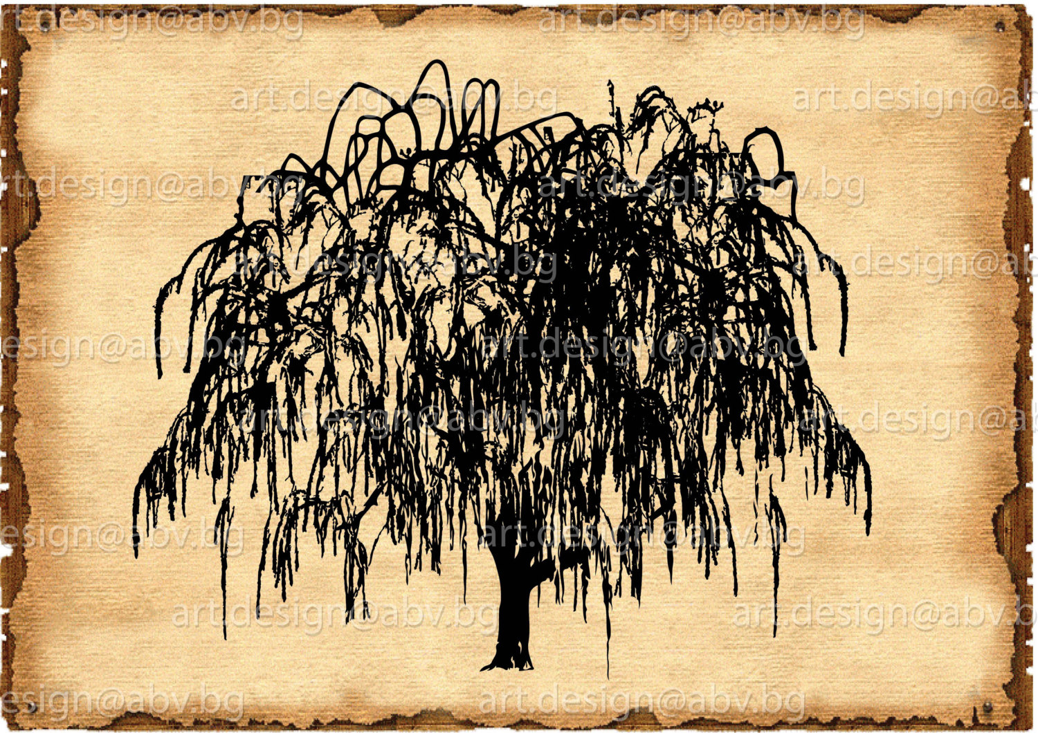 Chinese Weeping Willow Clipart Free Cliparts Download Images 1500x1060 Chinese Weeping Willow Clipart Free Cliparts Download Images