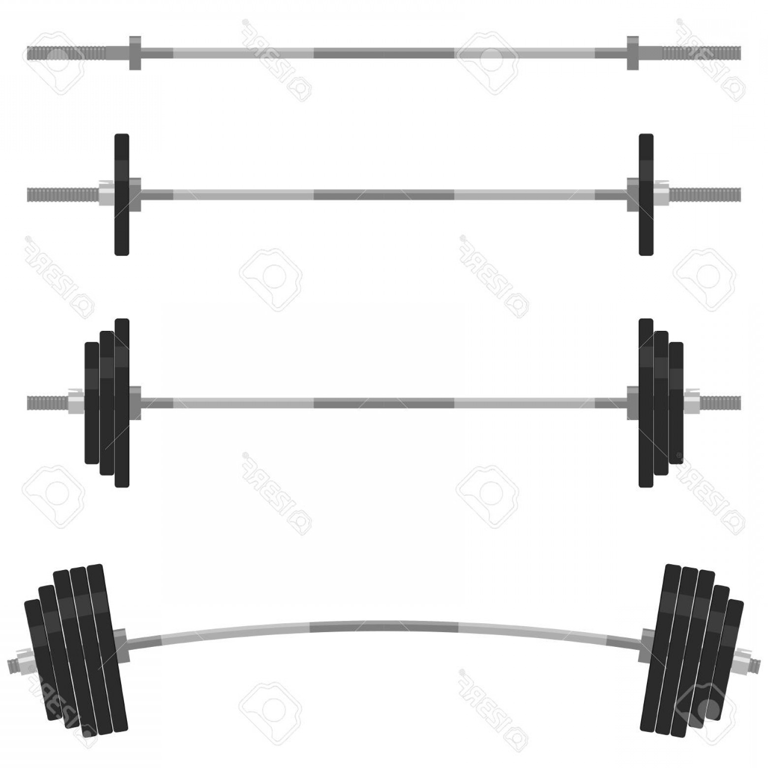 1560x1560 Photostock Vector Barbell With Different Weights Set Weightlifting