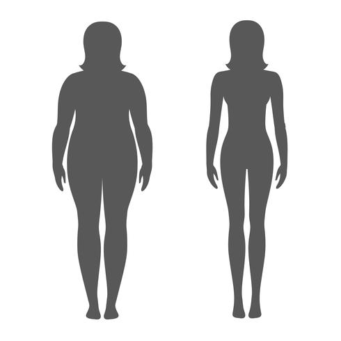 490x490 Vector Illustration Of A Woman Before And After Weight Loss
