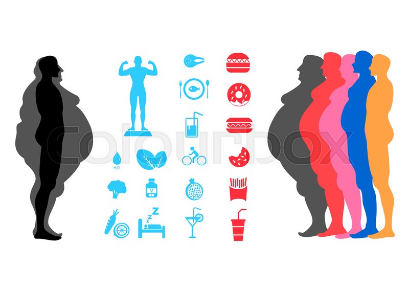 800x565 Fat Body, Weight Loss, Overweight Stock Vector Colourbox