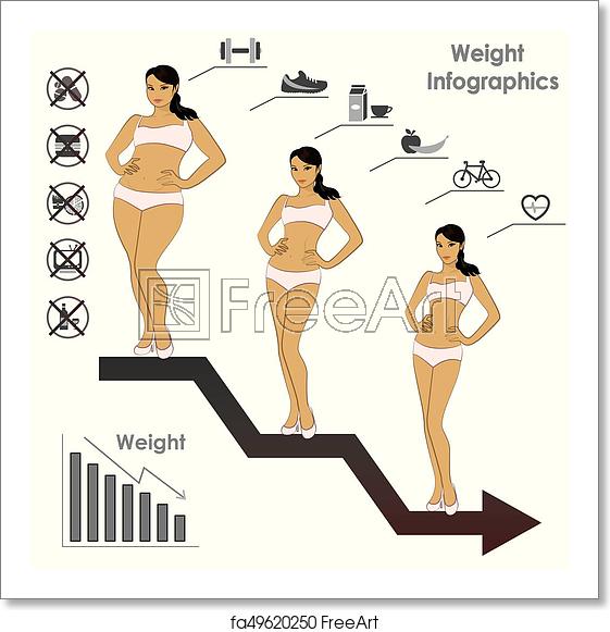 561x581 Free Art Print Of Female Weight Stages Infographics Weight Loss