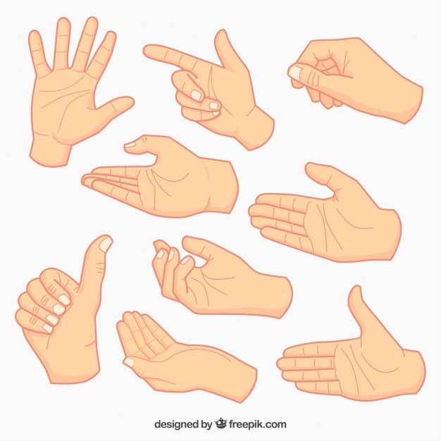 Hands Vectors, Photos And Free Download 626x626 Hands Vectors, Photos And Free Download