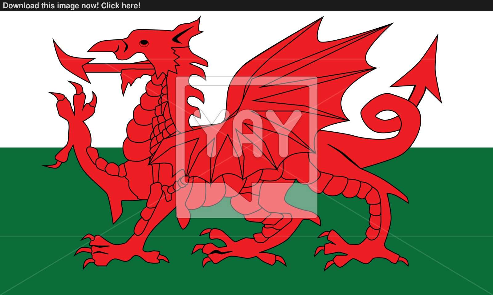 1600x959 Welsh Dragon Flag Vector