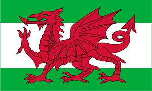 Download Welsh Flag Vector at Vectorified.com | Collection of Welsh ...