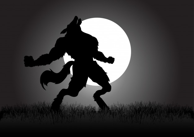 626x442 Werewolf Vectors, Photos And Free Download