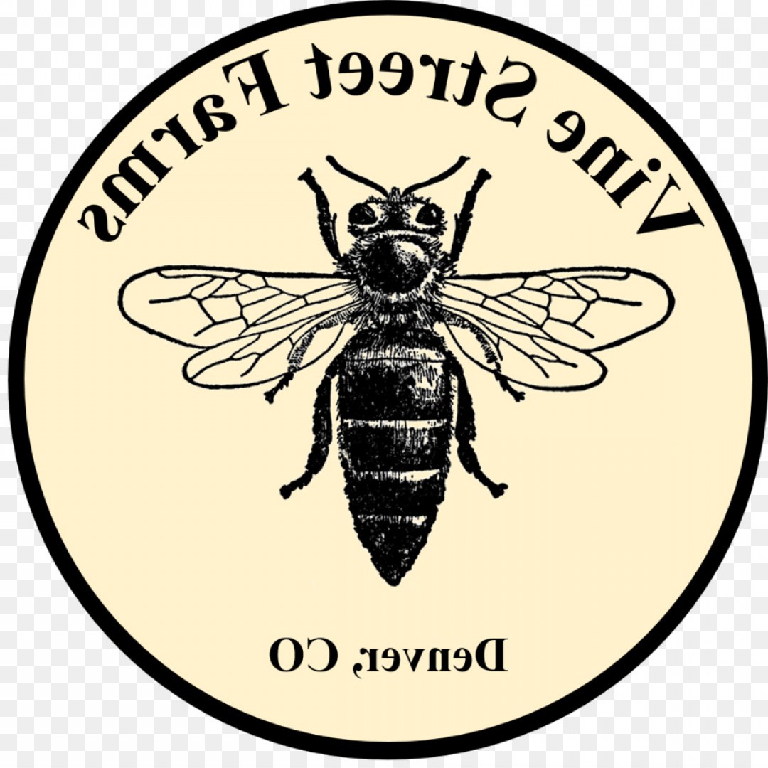 1080x1080 Png Western Honey Bee Drone Vector Graphics Clip Art Hoodamathrun