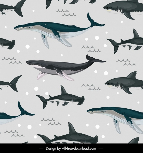 Marine Species Pattern Whales Sharks Icons Repeating Design Free 561x600 Marine Species Pattern Whales Sharks Icons Repeating Design Free
