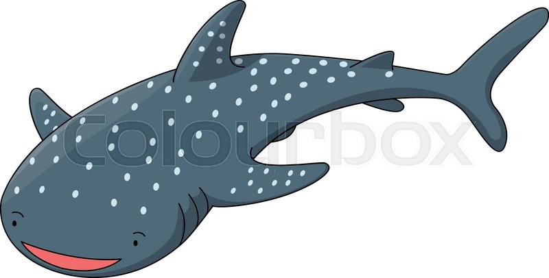 Shark Whale Cartoon Illustration Stock Vector Colourbox 800x406 Shark Whale Cartoon Illustration Stock Vector Colourbox
