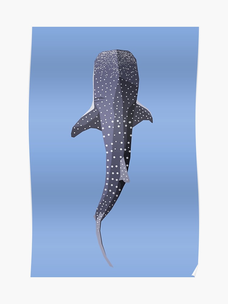 Vector Whale Shark Poster 750x1000 Vector Whale Shark Poster