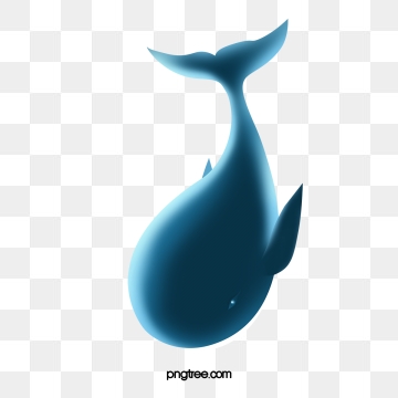 Whale Shark Png, Vector, And Clipart With Transparent 360x360 Whale Shark Png, Vector, And Clipart With Transparent