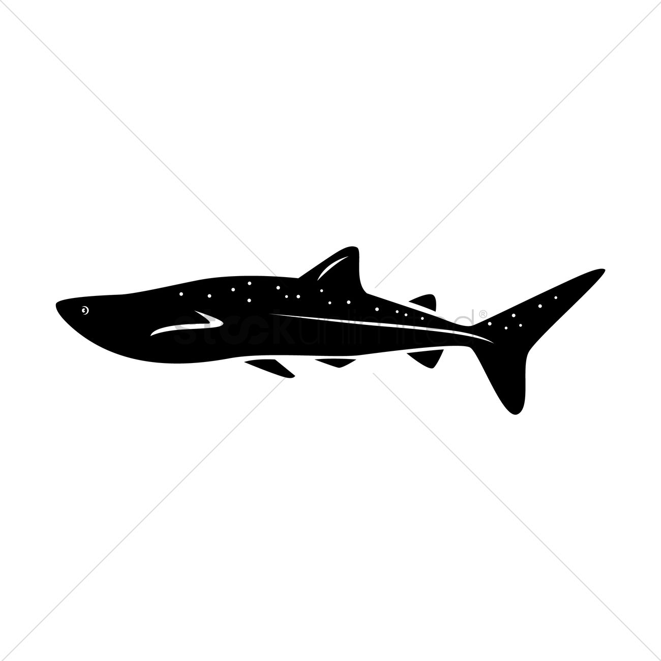 Whale Shark Vector Image 1300x1300 Whale Shark Vector Image