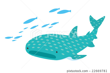 Whale Shark 450x298 Whale Shark