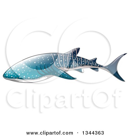 Clipart Of A Swimming Whale Shark 450x470 Clipart Of A Swimming Whale Shark