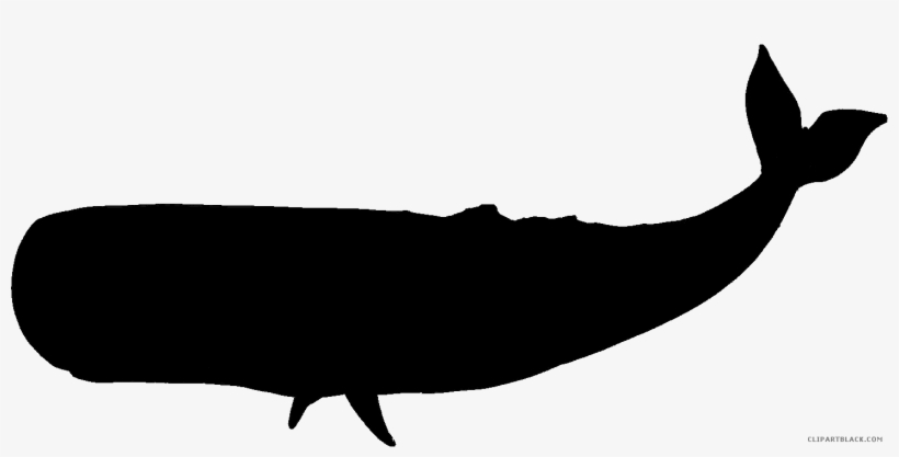 820x417 Png Stock Whale Silhouette At Getdrawings