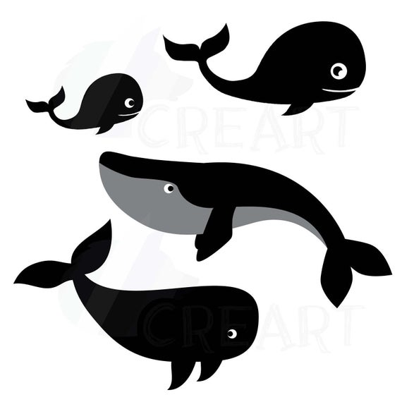 570x570 Whale Cute Whales Silhouette Pack Png Pdf Etsy