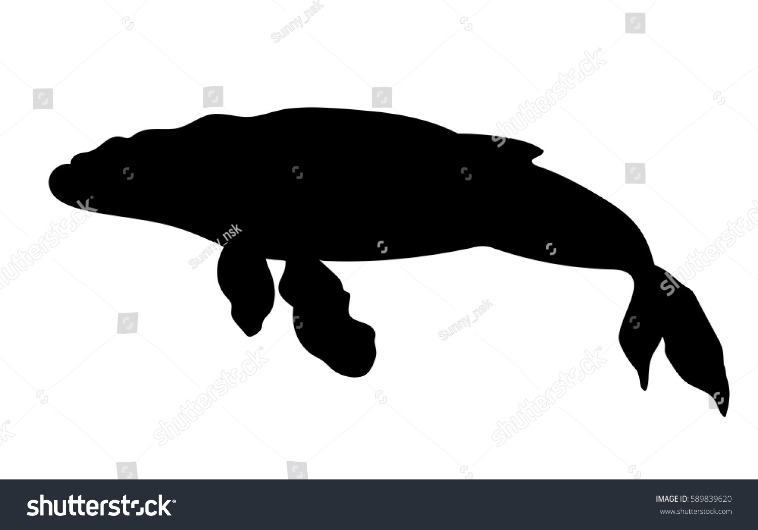 1500x1048 Whale Silhouette Underwater