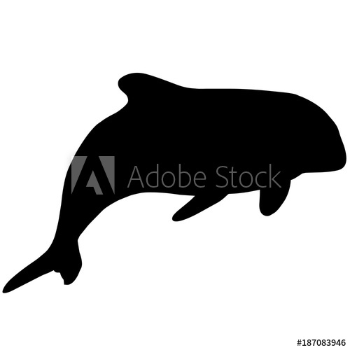500x500 Whale Silhouette Vector Graphics