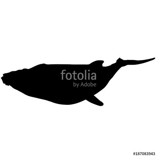 500x500 Whale Silhouette Vector Graphics Stock Image And Royalty Free