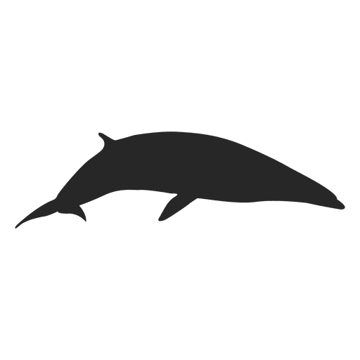 512x512 Whale Silhouette