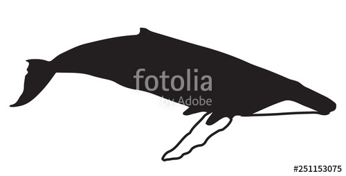 500x254 Whale Silhouette Stock Image And Royalty Free Vector