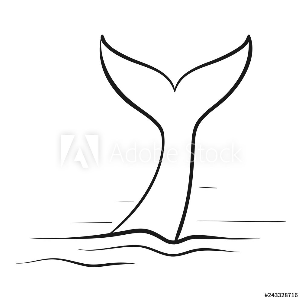 Photo Art Print Whale Tail Scetch Vector Illustration Europosters 1000x1000 Photo Art Print Whale Tail Scetch Vector Illustration Europosters