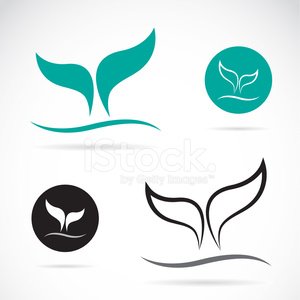 Vector Image Of An Whale Tails Stock Vectors 300x300 Vector Image Of An Whale Tails Stock Vectors