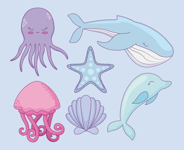 Whale Tail Vectors, Photos And Free Download 626x511 Whale Tail Vectors, Photos And Free Download