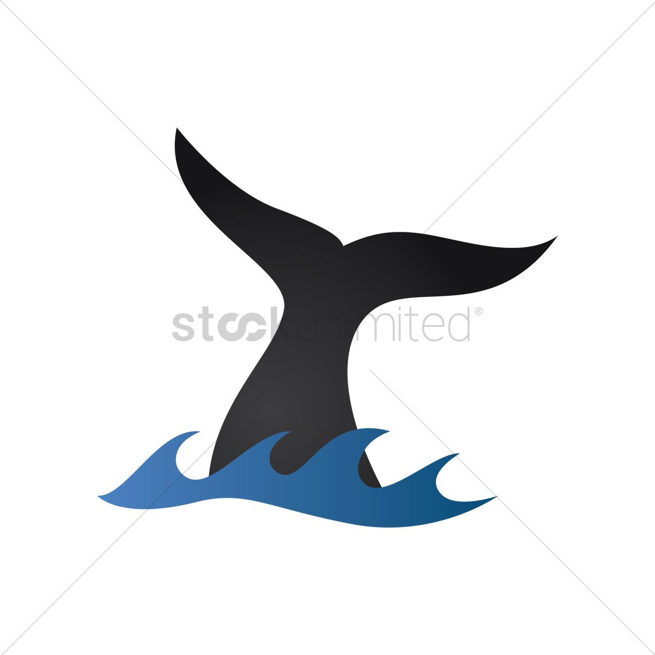 Whale Tail Vector Image 1300x1300 Whale Tail Vector Image