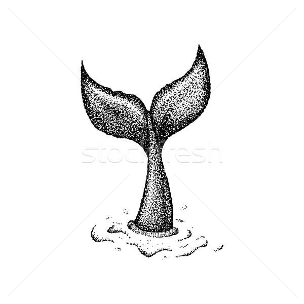 Dotwork Whale Tail Vector Illustration Ganna Sereda 600x600 Dotwork Whale Tail Vector Illustration Ganna Sereda