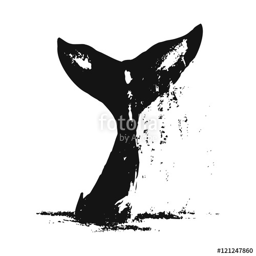 Whale Tail Vector Stock Image And Royalty Free Vector 500x500 Whale Tail Vector Stock Image And Royalty Free Vector