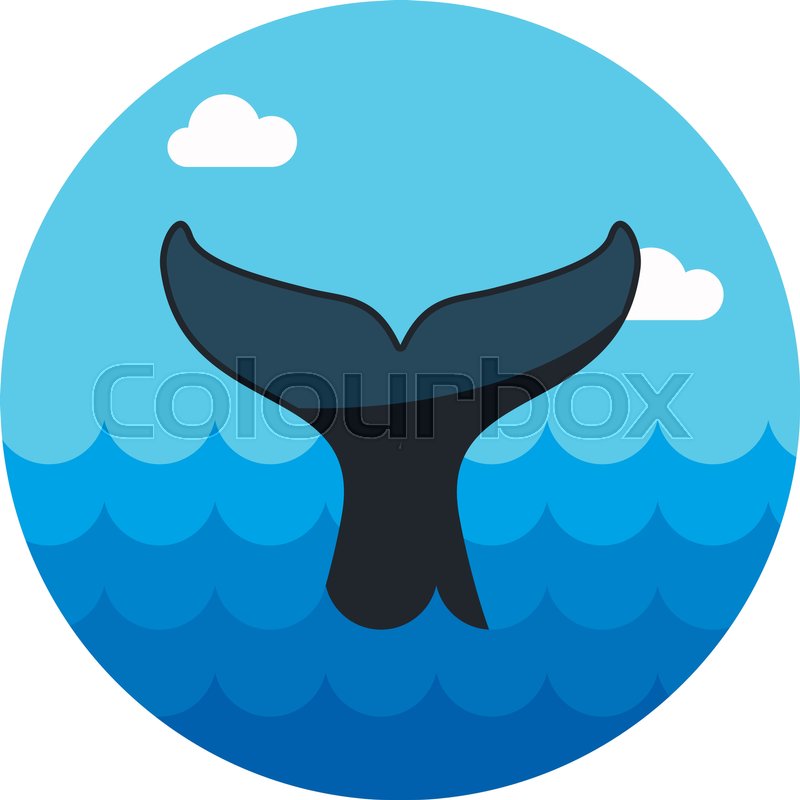 Whale Tail Vector Icon Beach Summer Stock Vector Colourbox 800x800 Whale Tail Vector Icon Beach Summer Stock Vector Colourbox