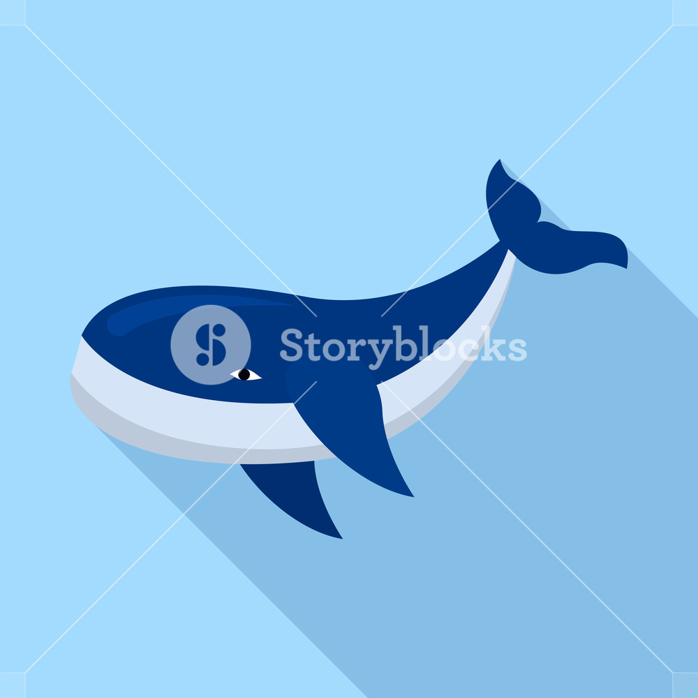 Whale Vector