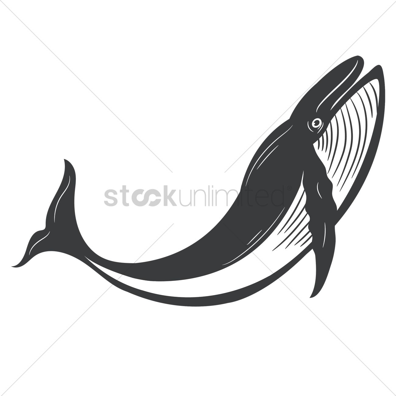 1300x1300 Free Whale Vector Image