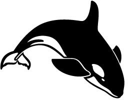256x200 Killer Whale Vector Free Vector In Encapsulated Postscript