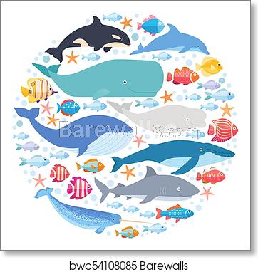 362x382 Marine Mammals And Fishes Set In Circle Narwhal, Blue Whale