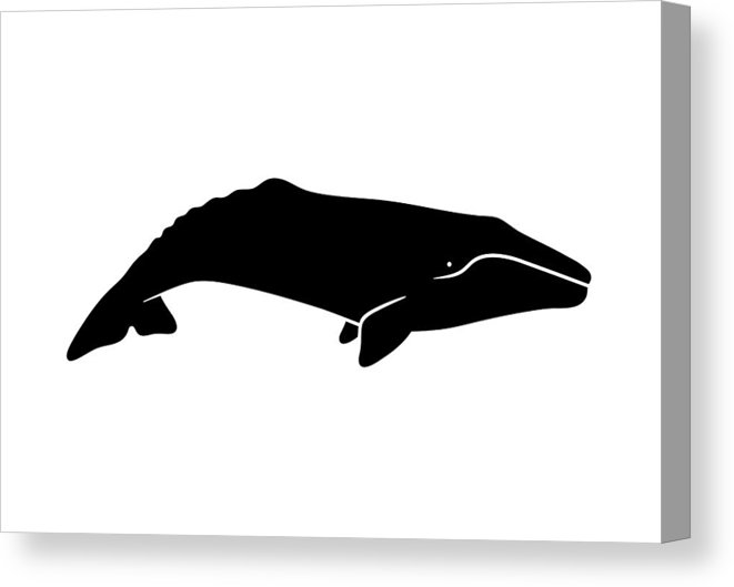 661x529 Silhouette Of Gray Whale Vector Illustration Isolated On White